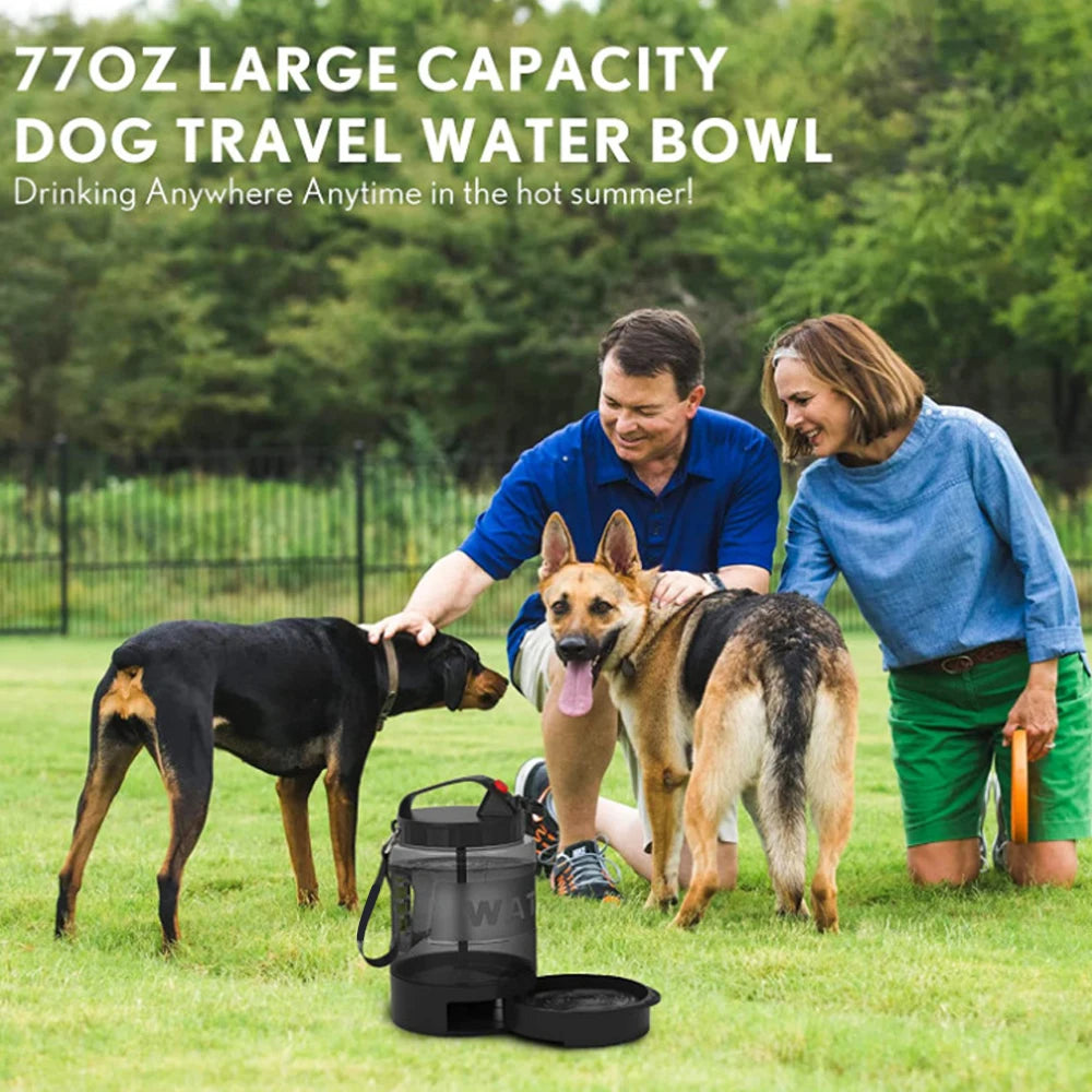 Furgone™ portable water bottle