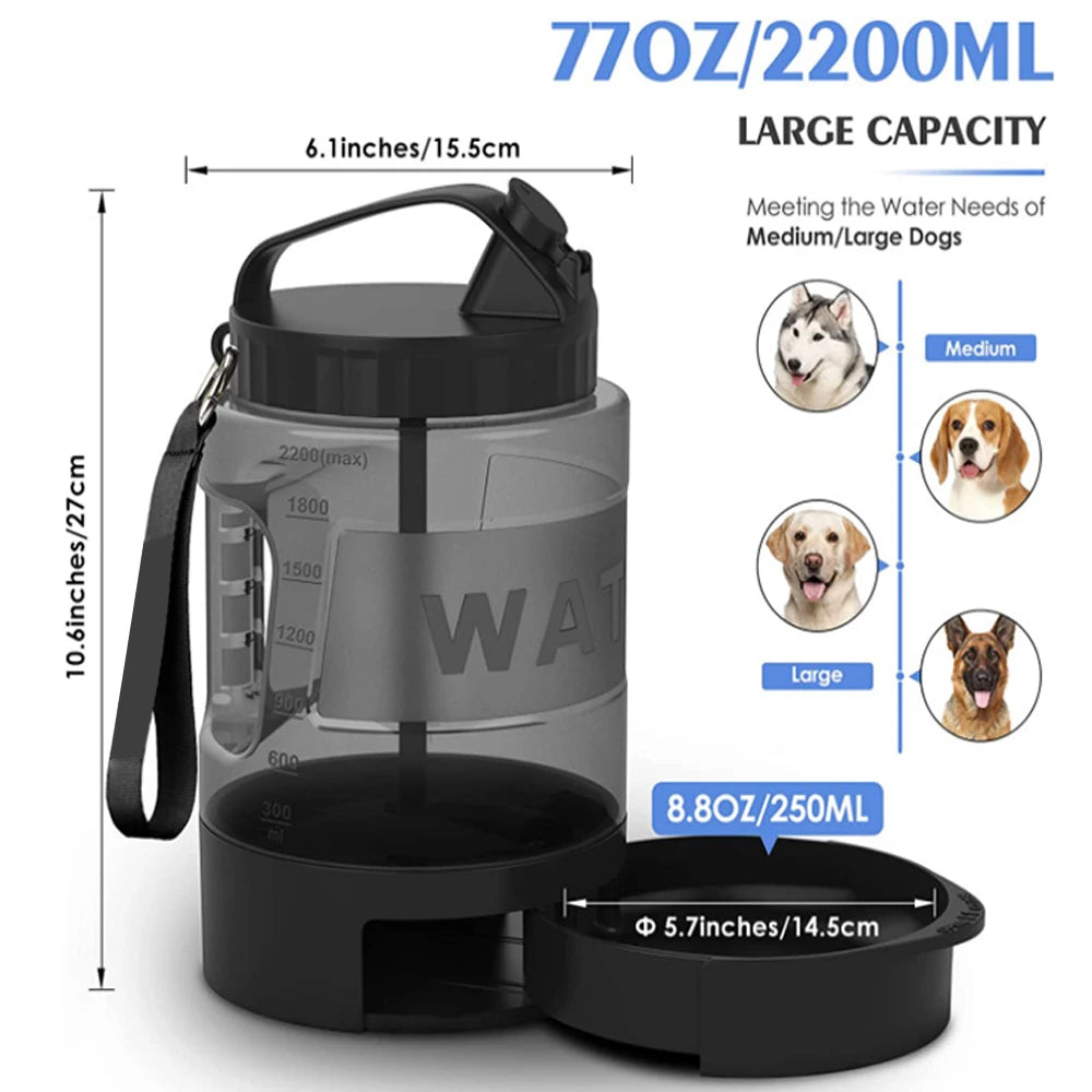 Furgone™ portable water bottle