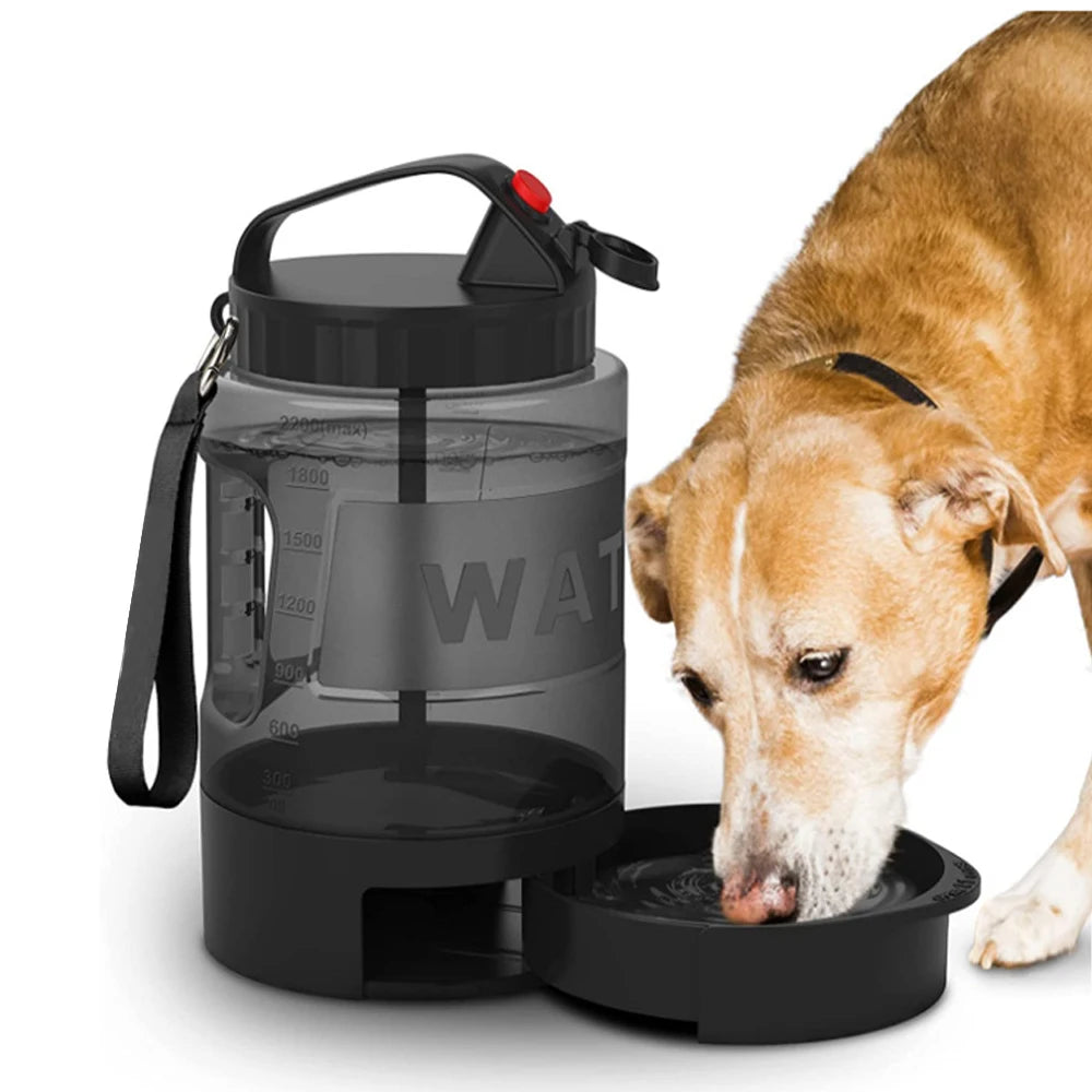 Furgone™ portable water bottle