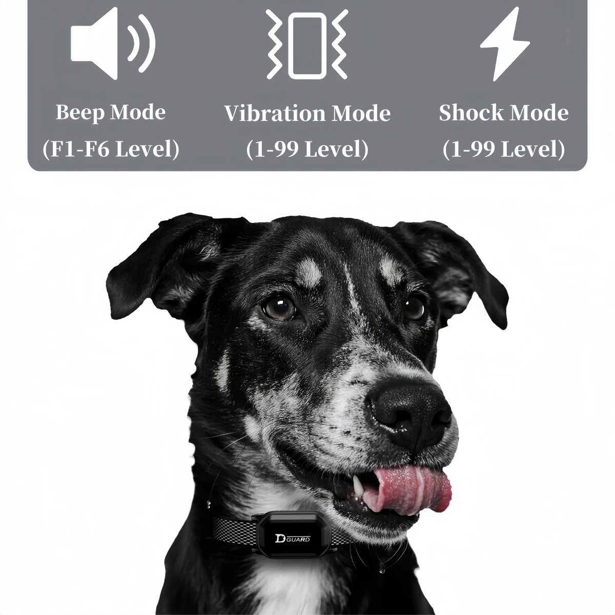 Furgone™ 800m Digital Dog Training Collar Waterproof Rechargeable Remote Control Pet with LCD Display for All Size Shock Vibration Sound