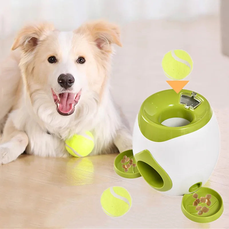 Furgone™ Automatic Ball Launcher for Pets
