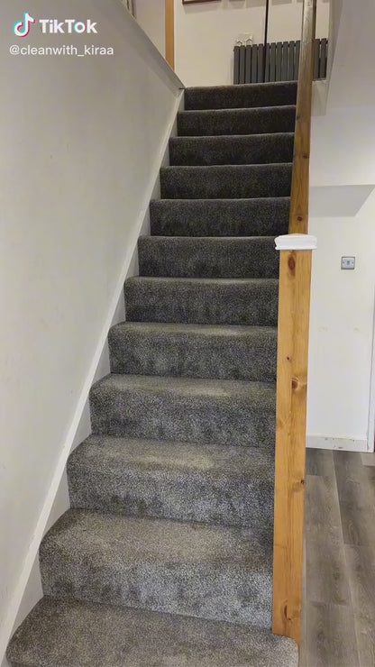 Furgone™ PetClean Roller